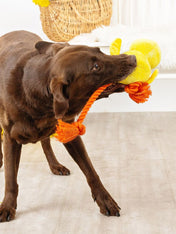 Fringe-petshop-peluche-corde-design-chien-poussin