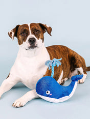 Fringe-petshop-peluche-design-chien-2025-baleine