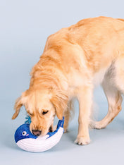 Fringe-petshop-peluche-design-chien-2025-baleine