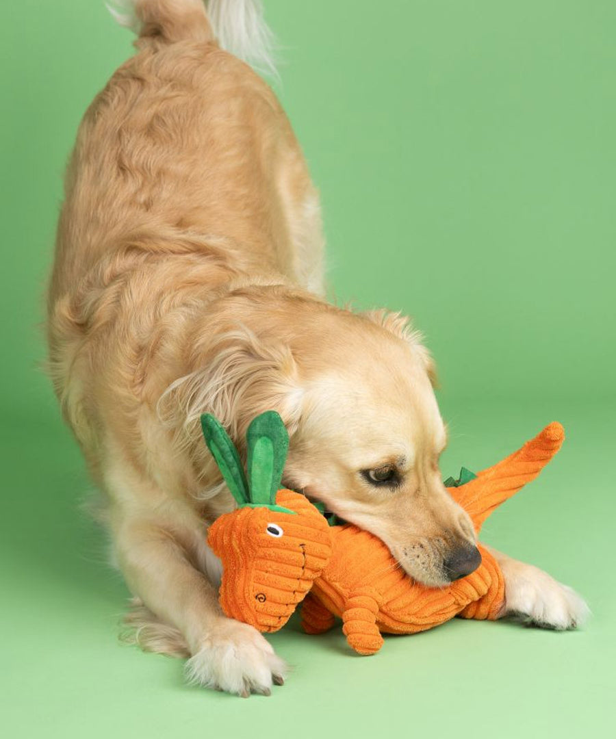 Fringe-petshop-peluche-design-chien-Carrot-about-you