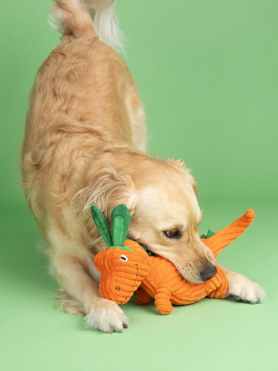 Fringe-petshop-peluche-design-chien-Carrot-about-you