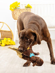 Fringe-petshop-peluche-design-chien-Choc-A-SaurusRex