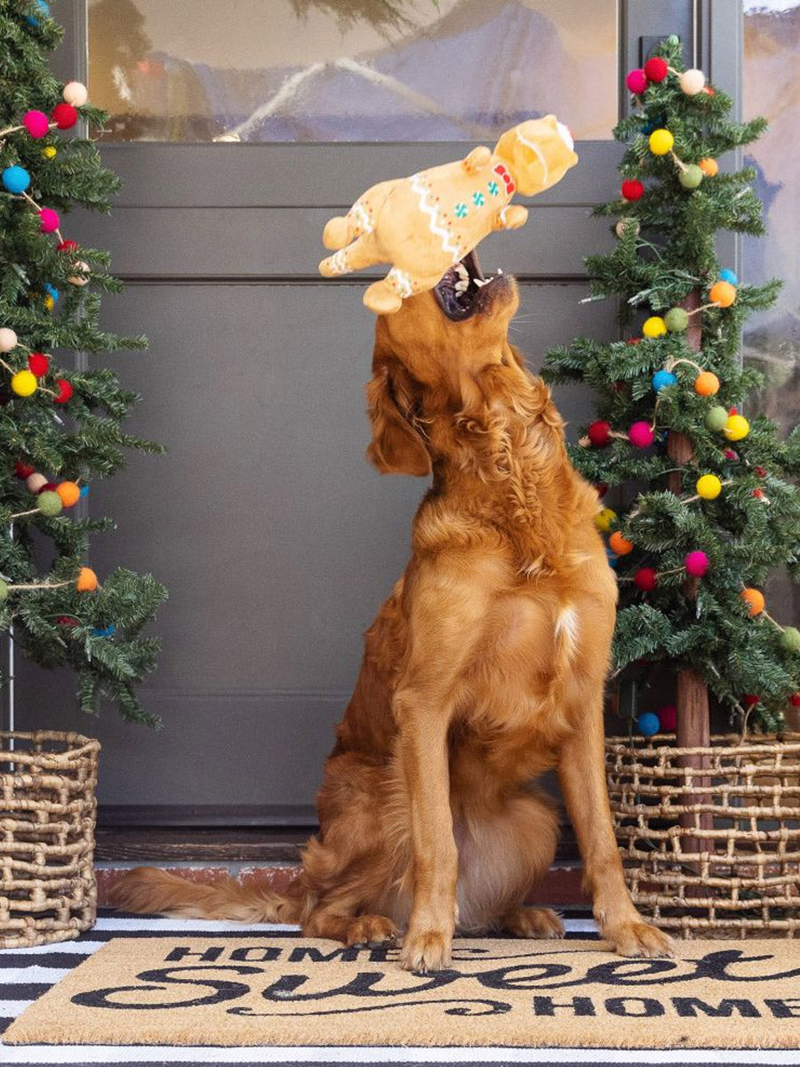 Fringe-petshop-peluche-design-chien-Cookie-Saurus