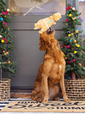 Fringe-petshop-peluche-design-chien-Cookie-Saurus