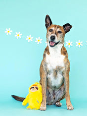 Fringe-petshop-peluche-design-chien-Paresseux-poussin