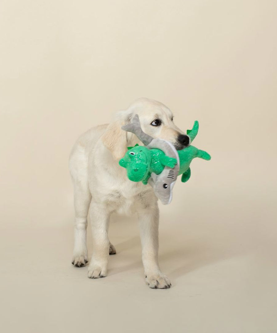 Fringe-petshop-peluche-design-chien-Shark-Week-Rex