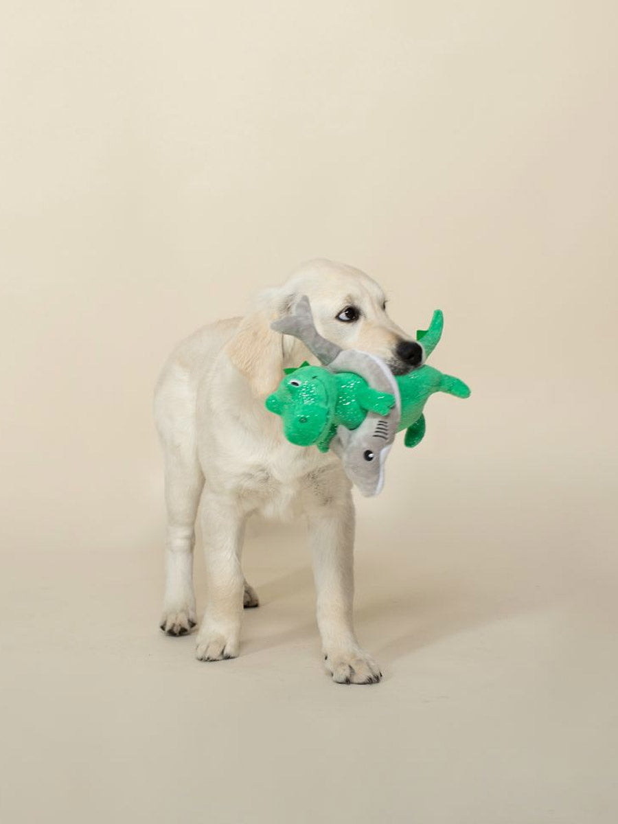 Fringe-petshop-peluche-design-chien-Shark-Week-Rex