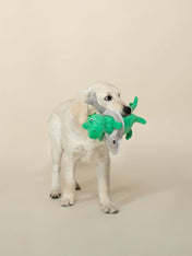 Fringe-petshop-peluche-design-chien-Shark-Week-Rex