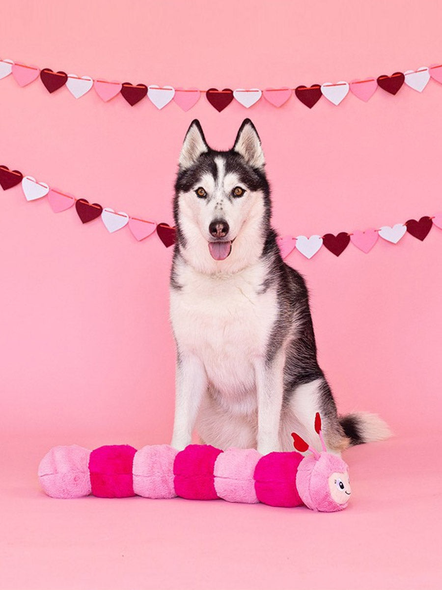 Fringe-petshop-peluche-design-chien-chenille-coeur-xxl