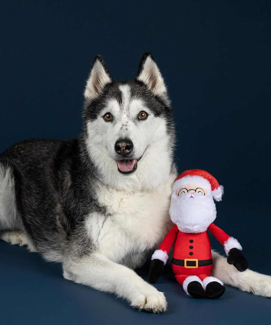 Fringe-petshop-peluche-design-chien-noel-pere-noel