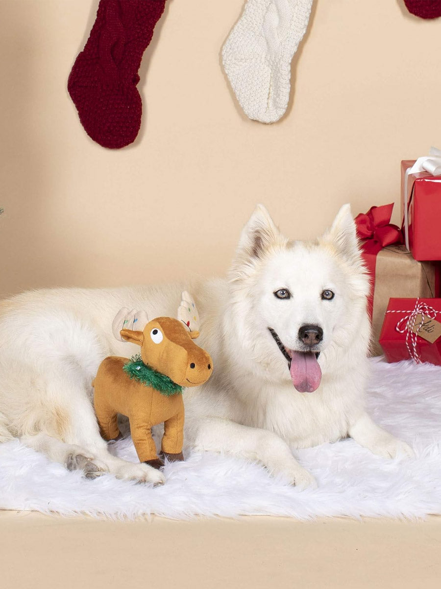 Fringe-petshop-peluche-design-chien-noel-renne-2025