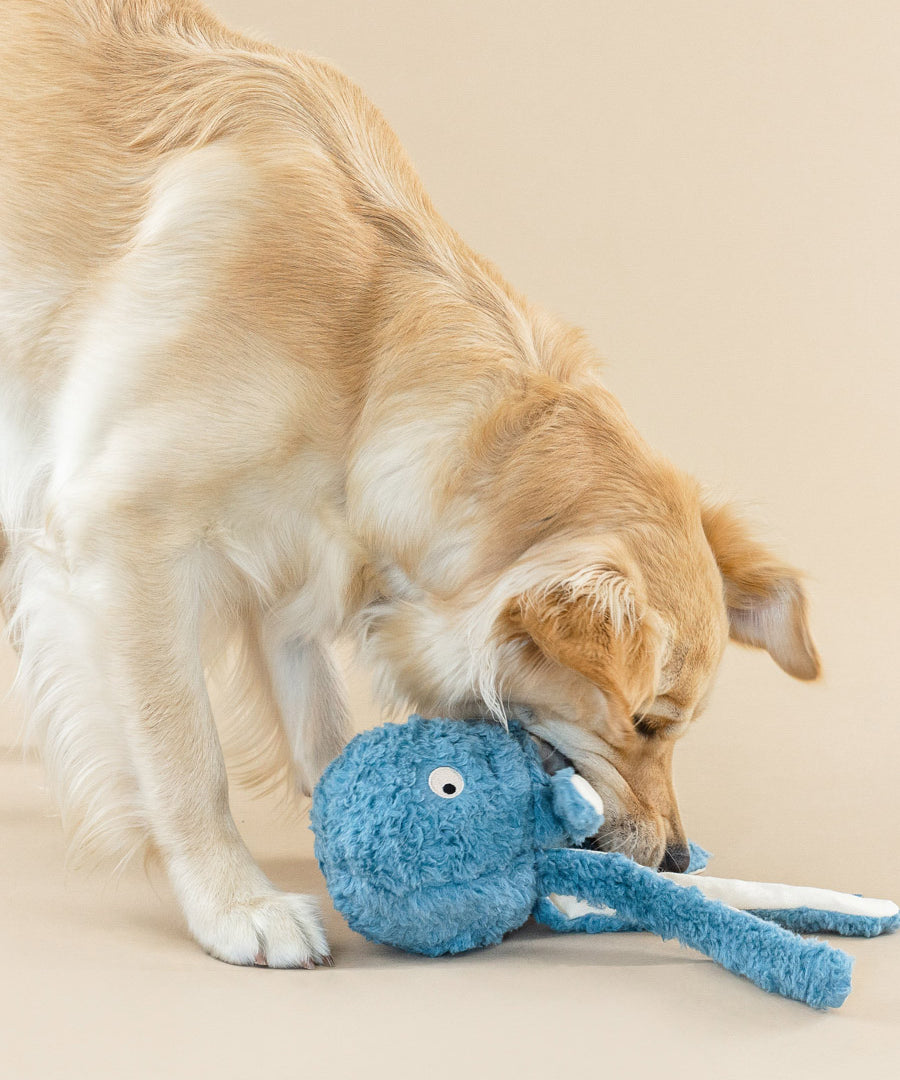 Fringe-petshop-peluche-design-chien-pieuvre