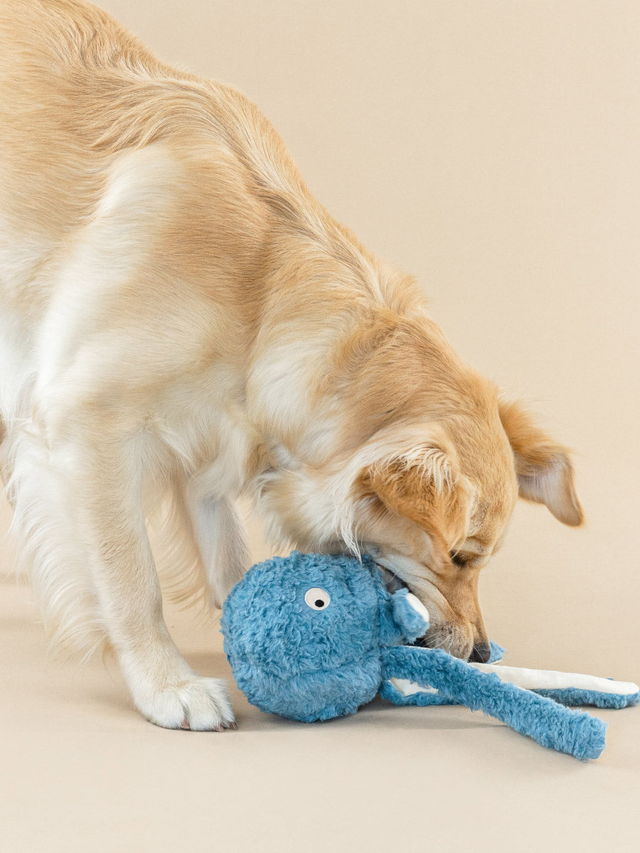 Fringe-petshop-peluche-design-chien-pieuvre