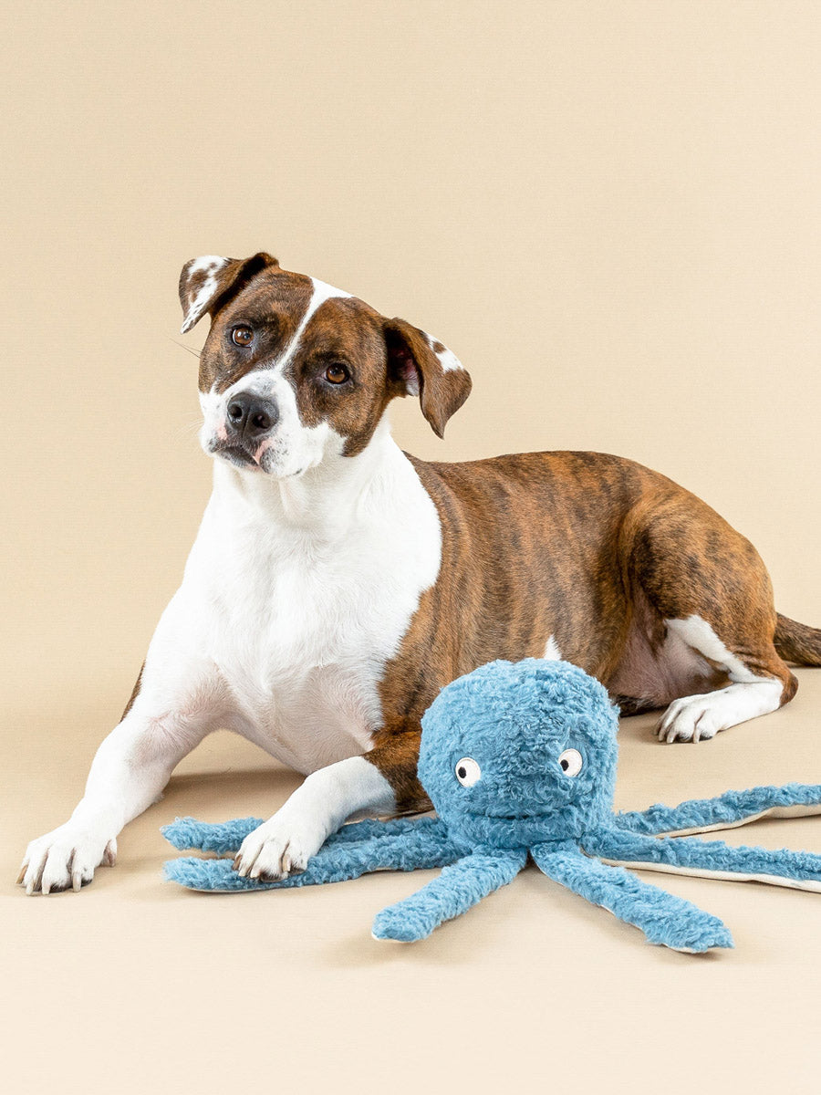 Fringe-petshop-peluche-design-chien-pieuvre