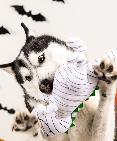 Fringe-petshop-peluche-pour-chien-halloween-dinosaure-momie
