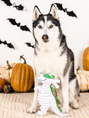 Fringe-petshop-peluche-pour-chien-halloween-dinosaure-momie