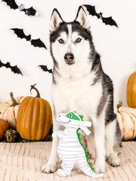 Fringe-petshop-peluche-pour-chien-halloween-dinosaure-momie