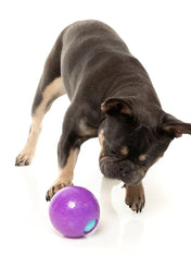 Fuzzyard-jouet-interactif-pour-chien-boule-magique-ditributeur-friandises