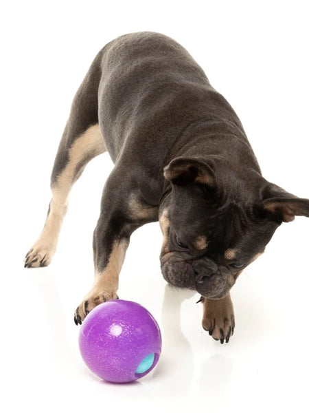 Fuzzyard-jouet-interactif-pour-chien-boule-magique-ditributeur-friandises