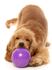 Fuzzyard-jouet-interactif-pour-chien-boule-magique-ditributeur-friandises