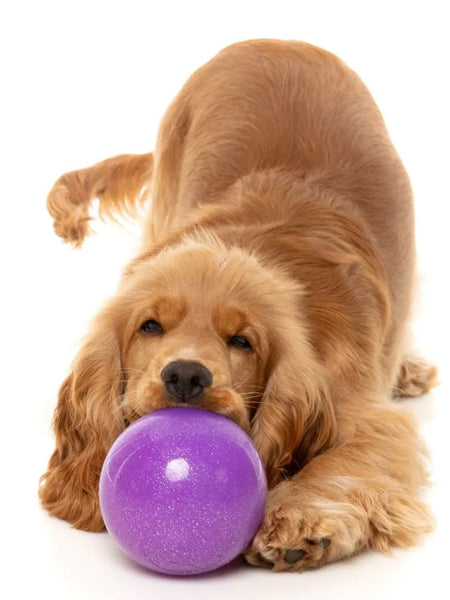 Fuzzyard-jouet-interactif-pour-chien-boule-magique-ditributeur-friandises