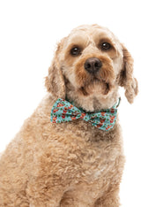 Fuzzyard-noeud-papillon-pour-chien-noel-Jolly-Blitzen-Blizzard