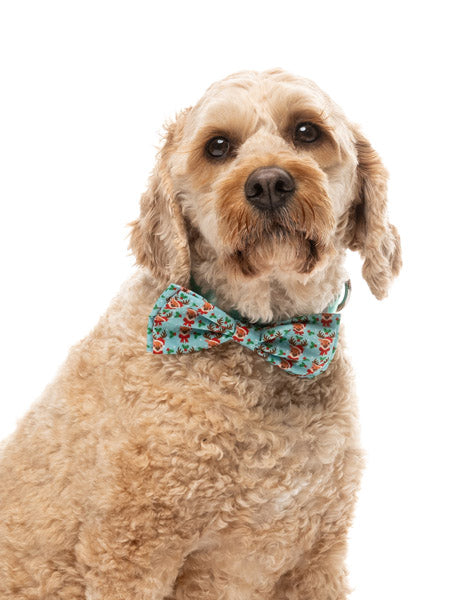 Fuzzyard-noeud-papillon-pour-chien-noel-Jolly-Blitzen-Blizzard