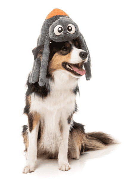 Fuzzyard-peluche-pour-chien-Halloween-araignee