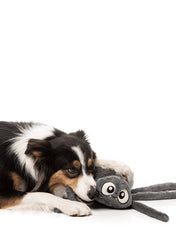 Fuzzyard-peluche-pour-chien-Halloween-araignee