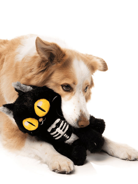 Fuzzyard-peluche-pour-chien-Halloween-chat-noir-Skelekitty