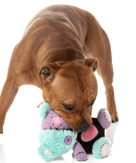 Fuzzyard-peluche-pour-chien-Halloween-ourson-Snugglestein