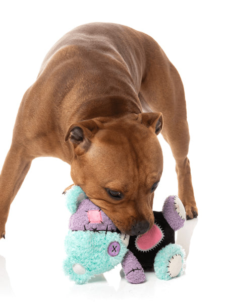 Fuzzyard-peluche-pour-chien-Halloween-ourson-Snugglestein