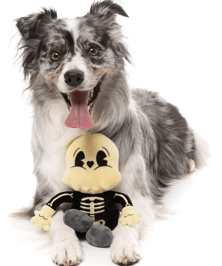 Fuzzyard-peluche-pour-chien-Halloween-squelette-Arthur-Itis