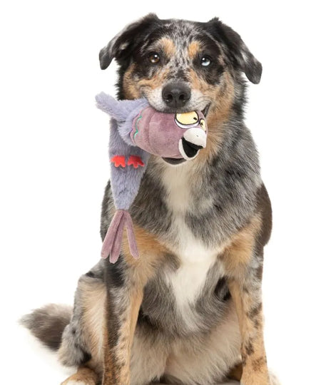 Fuzzyard-peluche-pour-chien-a-lancer-The-Yeetz-pigeon