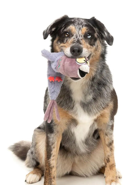 Fuzzyard-peluche-pour-chien-a-lancer-The-Yeetz-pigeon