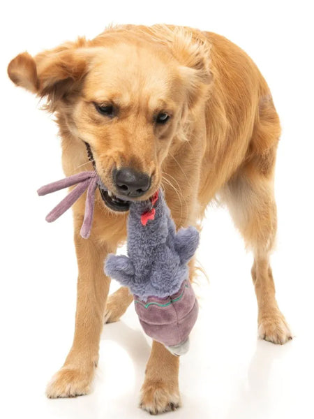Fuzzyard-peluche-pour-chien-a-lancer-The-Yeetz-pigeon