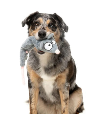 Fuzzyard-peluche-pour-chien-a-lancer-The-Yeetz-rat