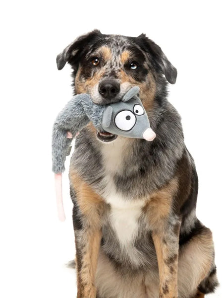 Fuzzyard-peluche-pour-chien-a-lancer-The-Yeetz-rat