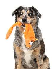 Fuzzyard-peluche-pour-chien-a-lancer-The-Yeetz-renard