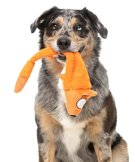 Fuzzyard-peluche-pour-chien-a-lancer-The-Yeetz-renard