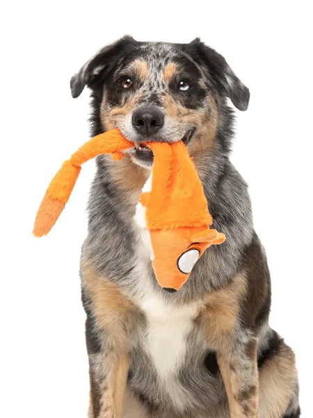 Fuzzyard-peluche-pour-chien-a-lancer-The-Yeetz-renard