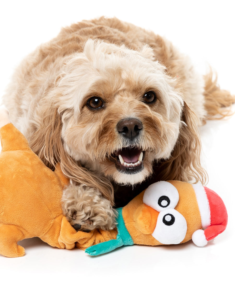 Fuzzyard-peluche-pour-chien-dinde-accordeon