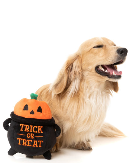        Fuzzyard-peluche-pour-chien-halloween-Trick-or-Treat-Cauldron