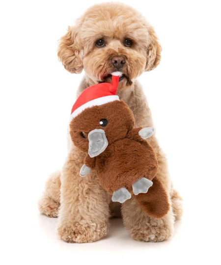 Fuzzyard-peluche-pour-chien-noel-Platypus