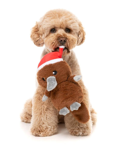 Fuzzyard-peluche-pour-chien-noel-Platypus