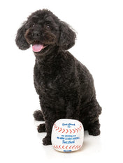 Fuzzyard-peluche-pour-chien-originale-balle-baseball