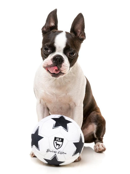     Fuzzyard-peluche-pour-chien-originale-ballon-de-football