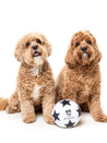     Fuzzyard-peluche-pour-chien-originale-ballon-de-football