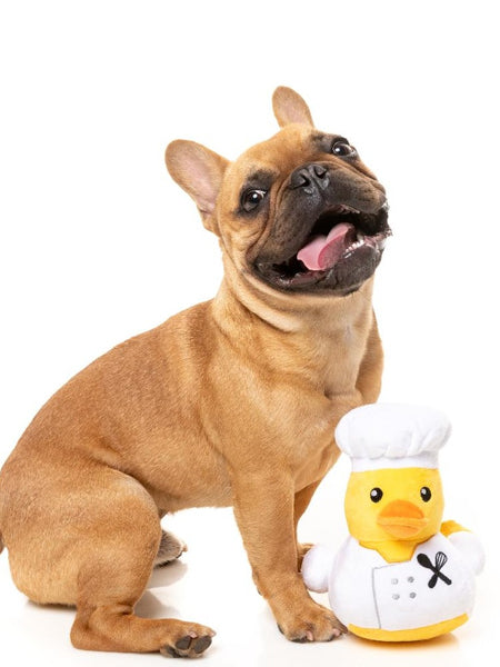 Fuzzyard-peluche-pour-chien-originale-canard-chef