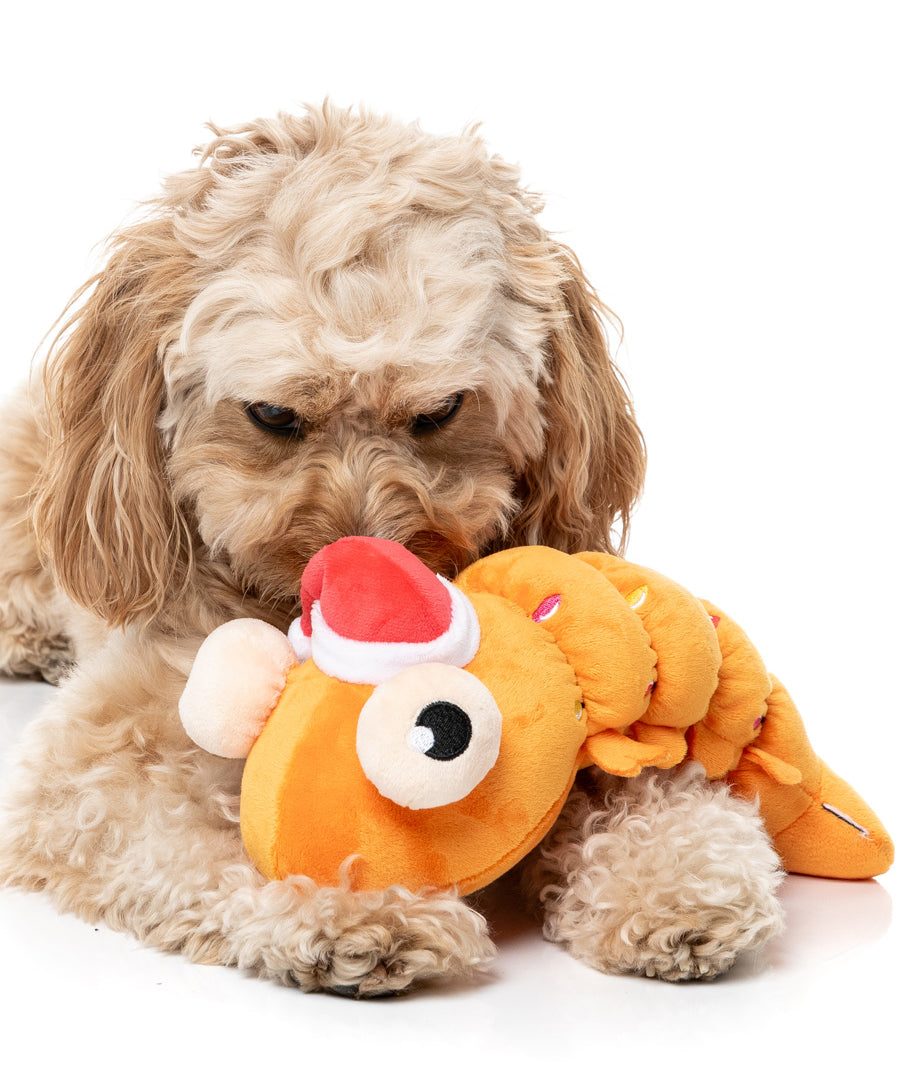 Fuzzyard-peluche-pour-chien-originale-crevette-noel